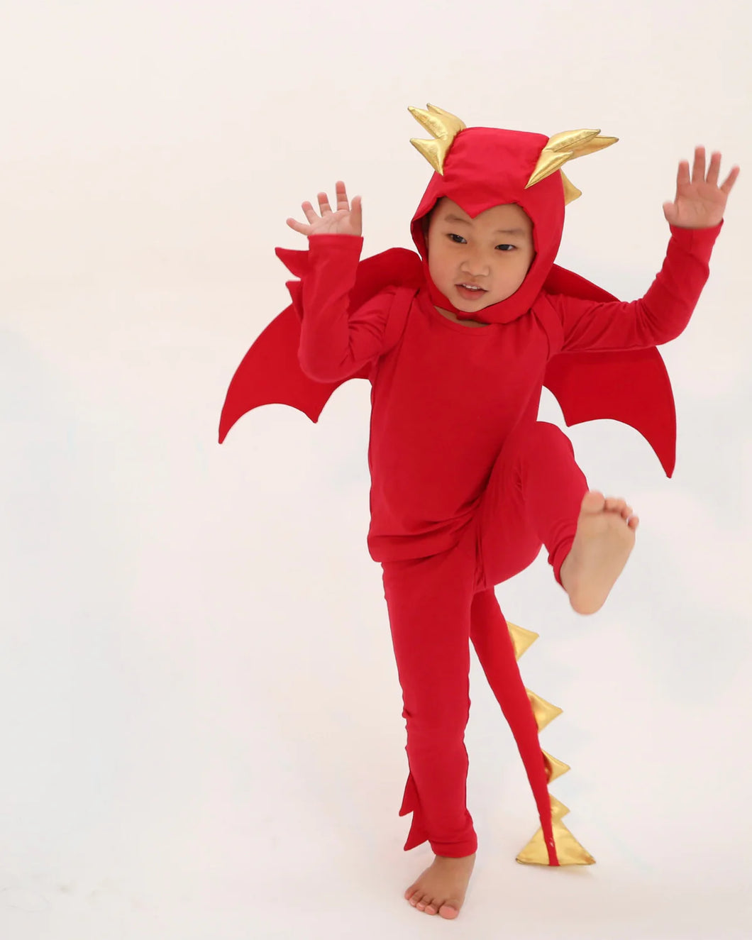 Red Dragon Costume